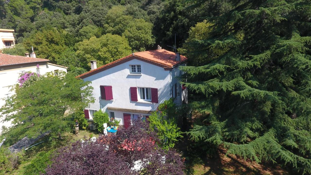 Villa Riviera Chambres Privees Amelie-les-Bains-Palalda Bagian luar foto